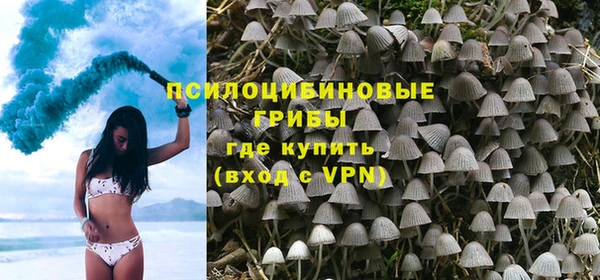 прущая мука Пересвет