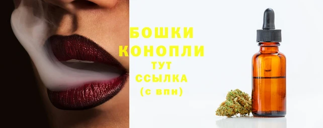мяу мяу кристалл Переславль-Залесский