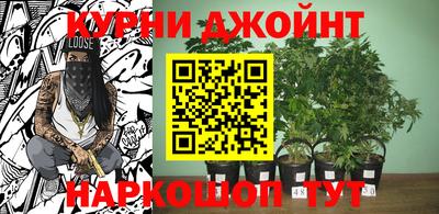 mdpv Донской