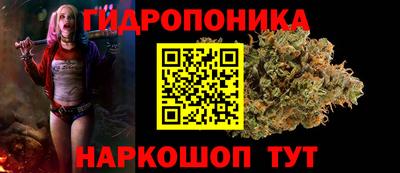 Альфа ПВП Волгодонск