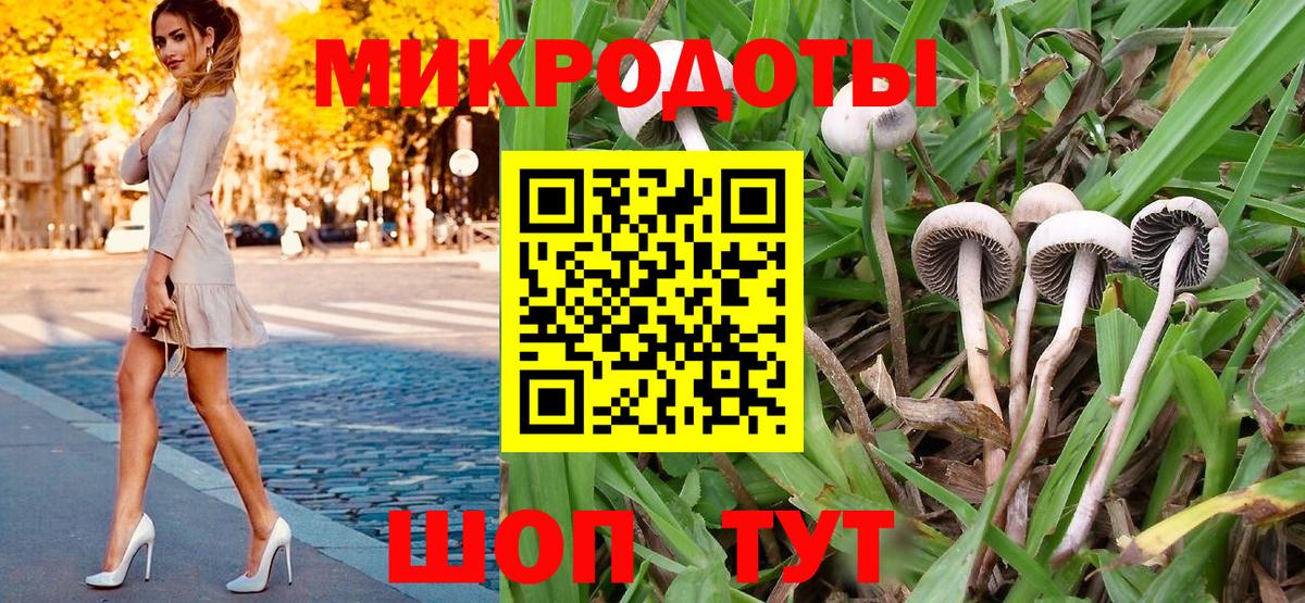 Галлюциногенные грибы Psilocybine cubensis Светлоград