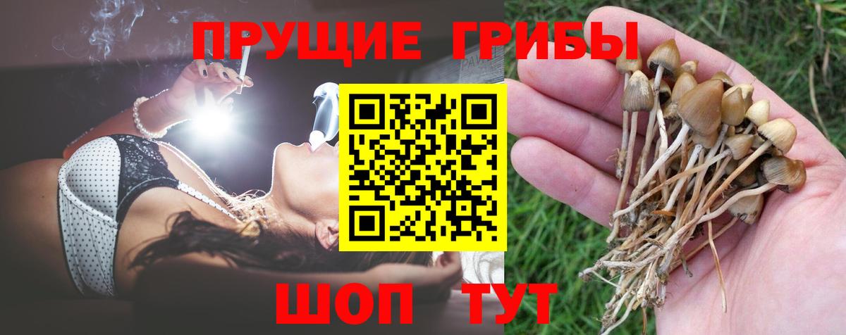 Галлюциногенные грибы MAGIC MUSHROOMS Светлоград